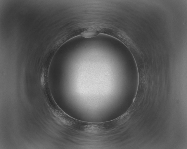 X0000084040074200702232336