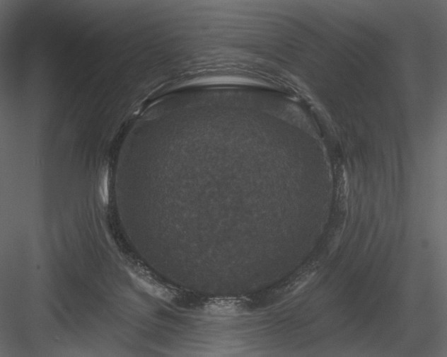 X0000084040076200702232336