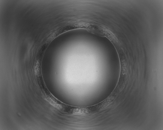 X0000084040077200702232336