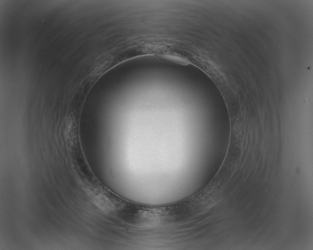 X0000084040079200702232336