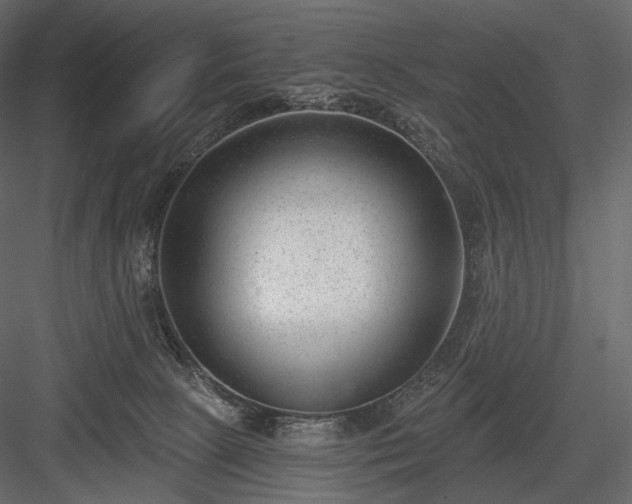 X0000084040081200702232336