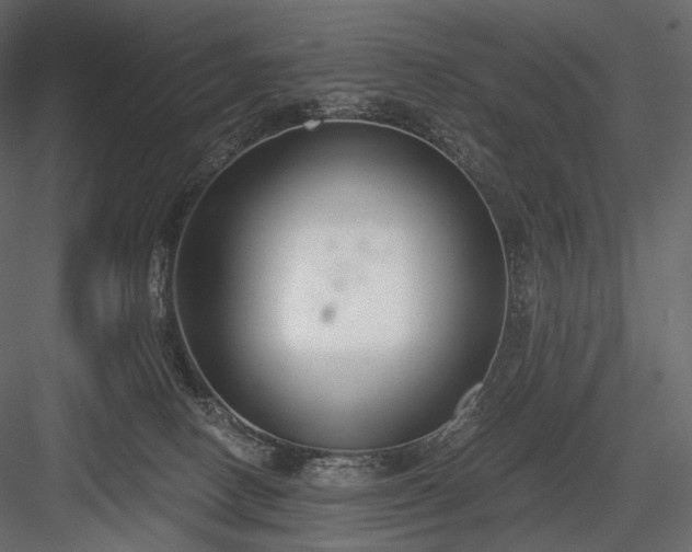 X0000084040082200702232336