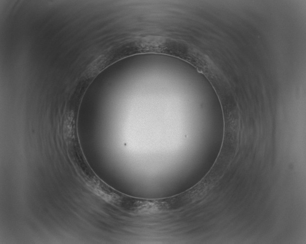 X0000084040083200702232336