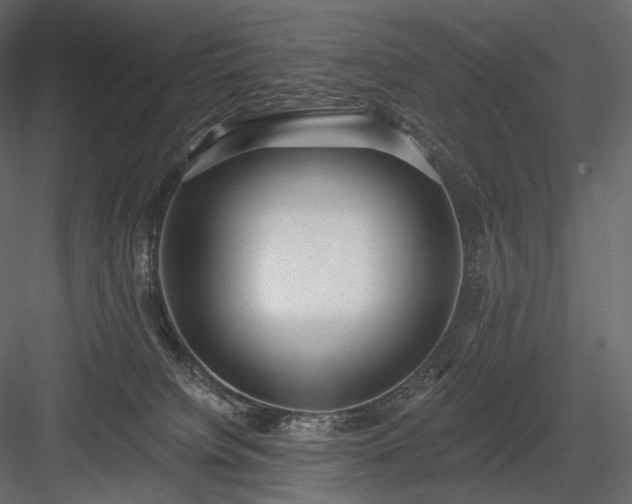 X0000084040084200702232336