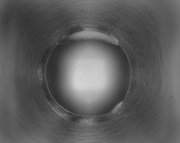 X0000084040086200702232336