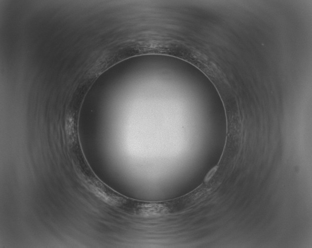 X0000084040087200702232336