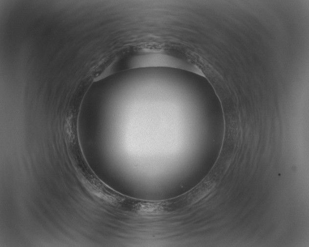 X0000084040088200702232336