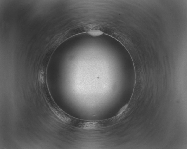 X0000084040090200702232336