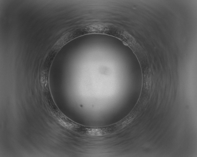 X0000084040091200702232336