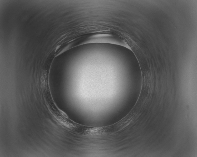 X0000084040092200702232336