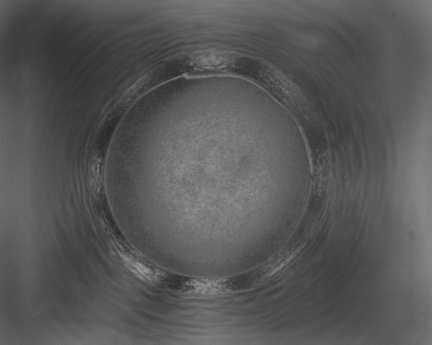 X0000084040093200702232336