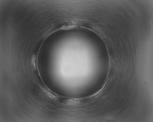 X0000084040094200702232336