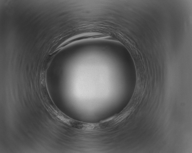 X0000084040096200702232336