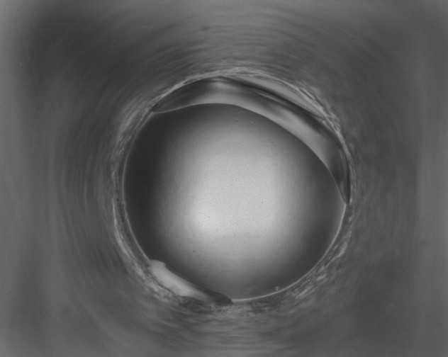 X0000084040097200702232335