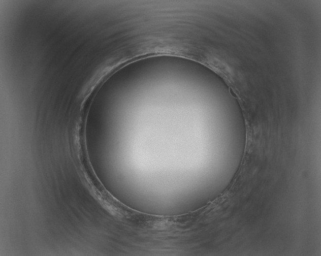 X0000084040098200702232335