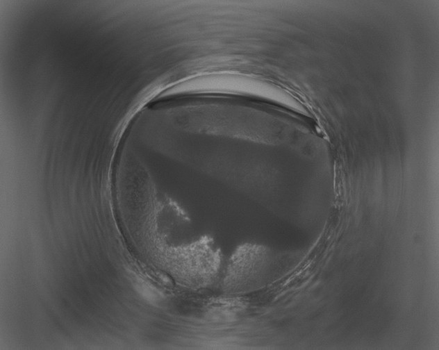 X0000084040099200702232335