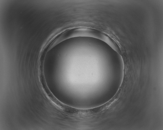 X0000084040101200702232335