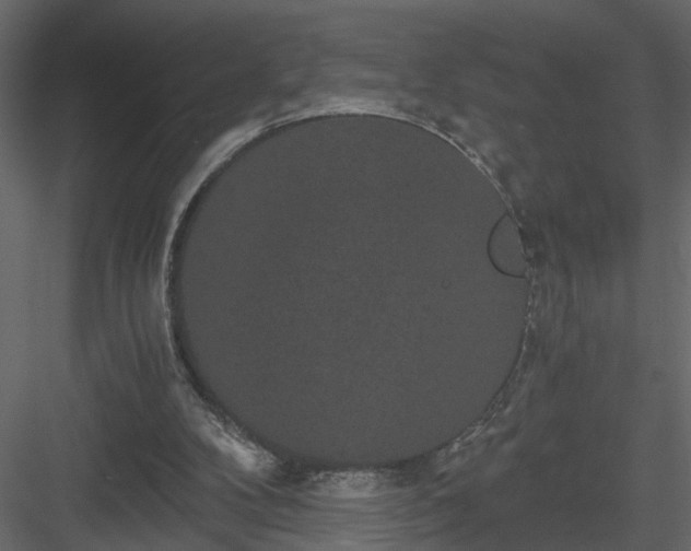 X0000084040104200702232335