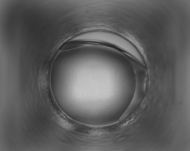 X0000084040105200702232335