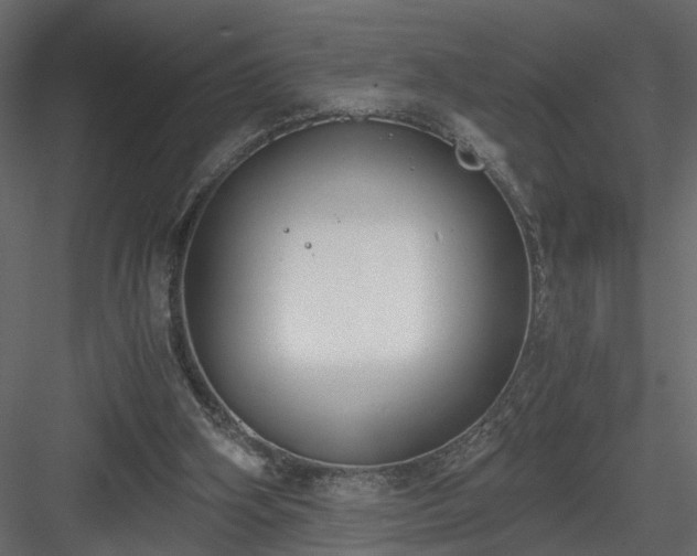 X0000084040106200702232335