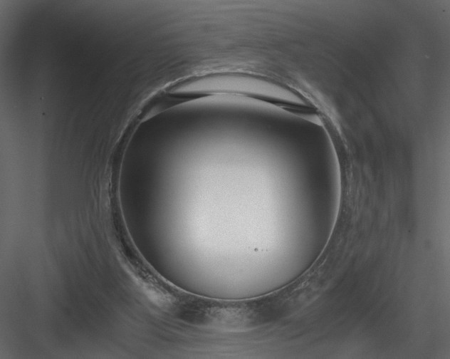 X0000084040107200702232335