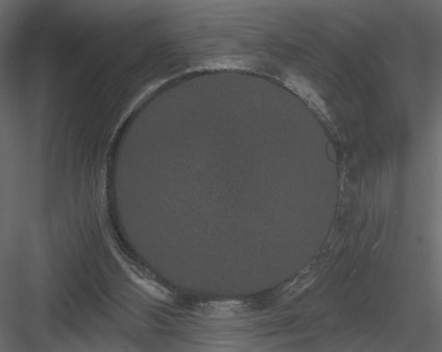 X0000084040108200702232335