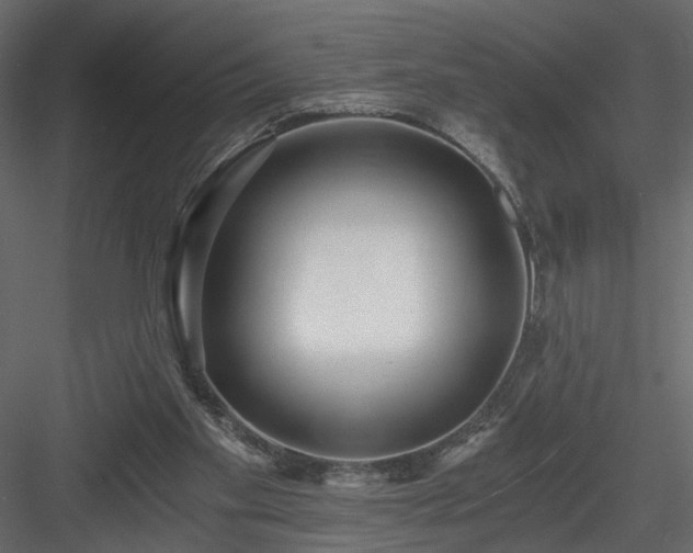 X0000084040109200702232335