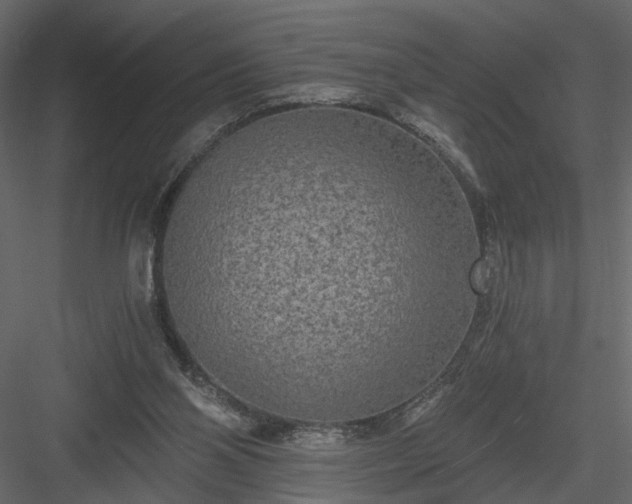 X0000084040110200702232335