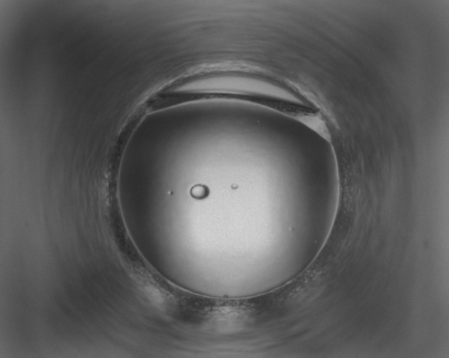 X0000084040111200702232335