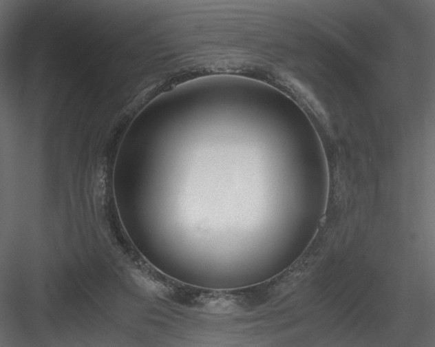 X0000084040113200702232335