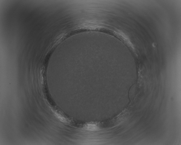 X0000084040114200702232335