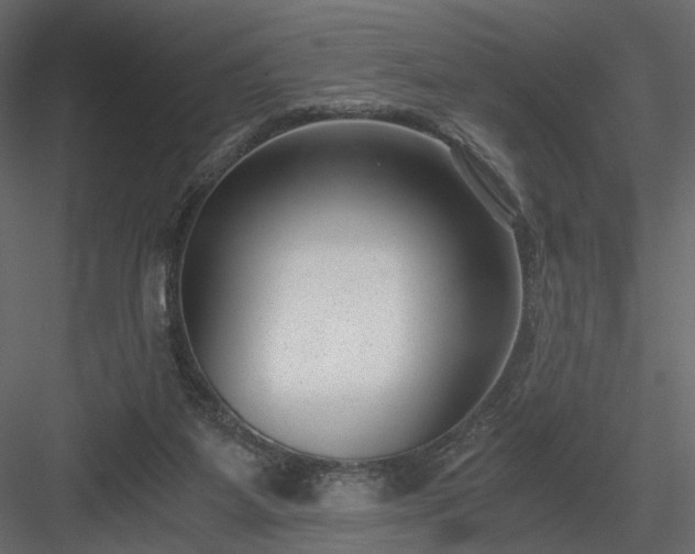 X0000084040115200702232335