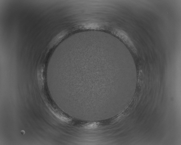 X0000084040116200702232335