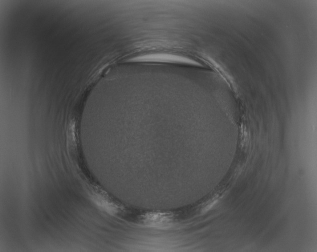 X0000084040117200702232335