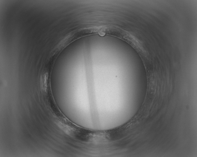 X0000084040118200702232335