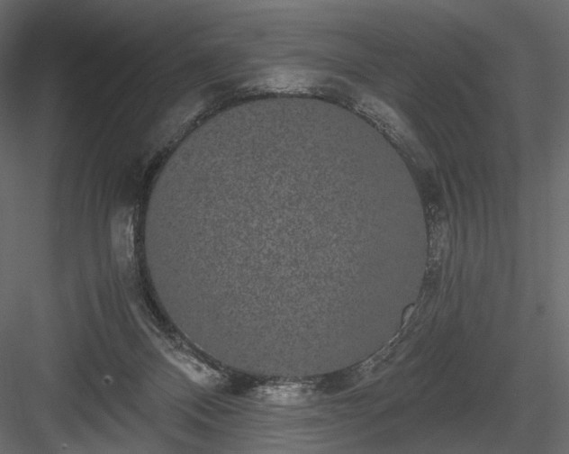 X0000084040120200702232335