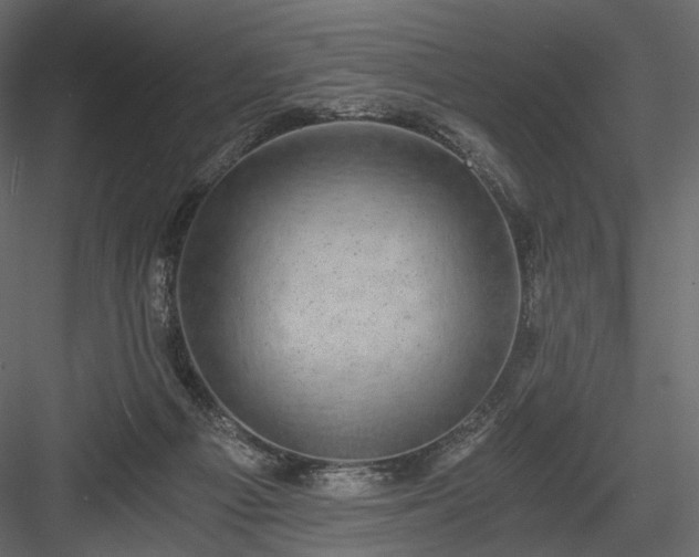 X0000084040121200702232335