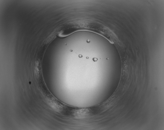 X0000084040122200702232335