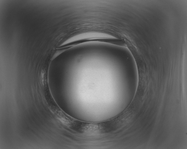 X0000084040123200702232335