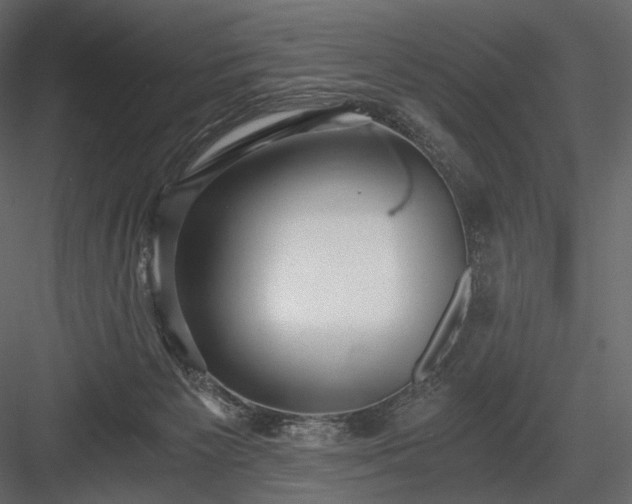 X0000084040125200702232335