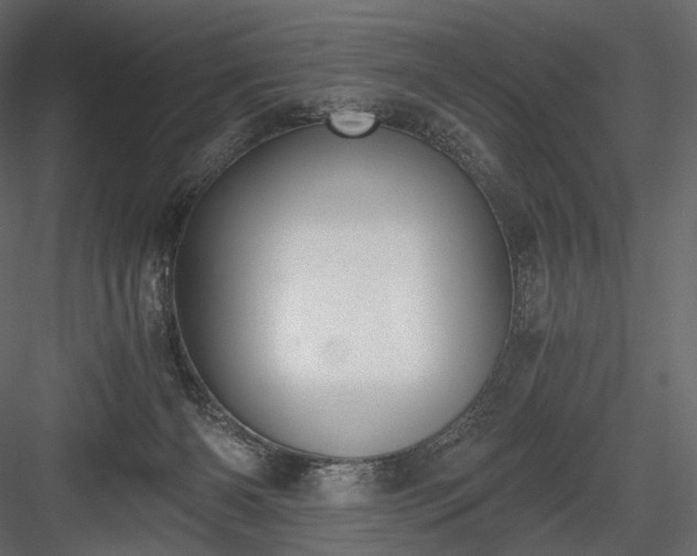 X0000084040126200702232335