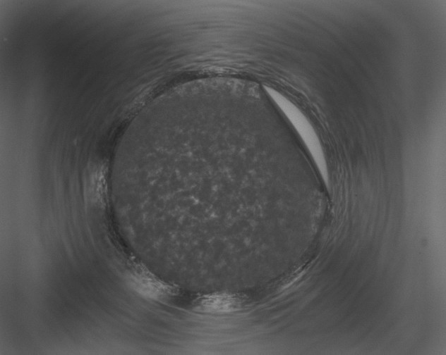 X0000084040127200702232335