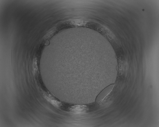 X0000084040128200702232335