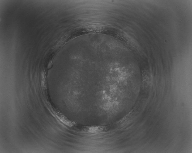 X0000084040130200702232335