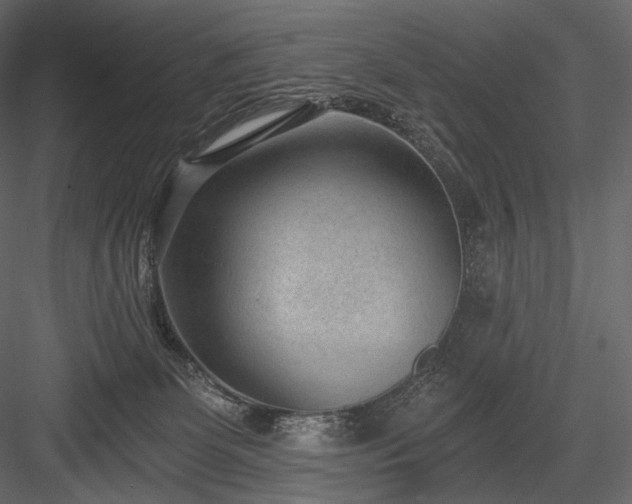 X0000084040131200702232335