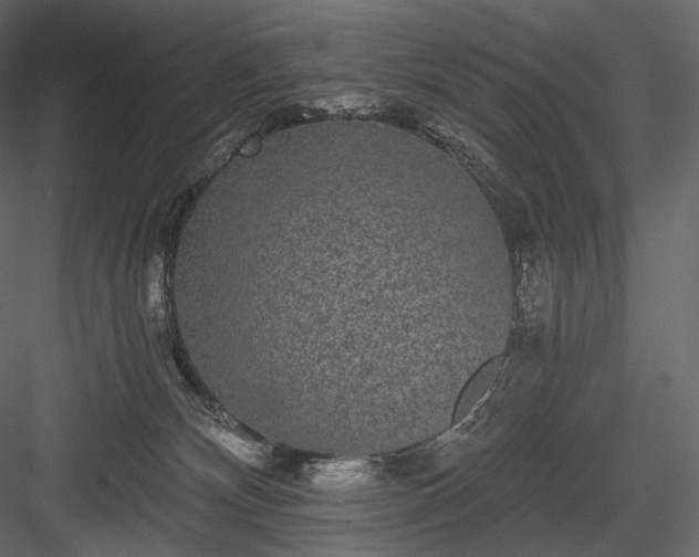 X0000084040132200702232335