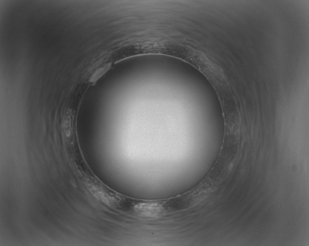 X0000084040133200702232335