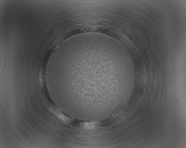 X0000084040134200702232335