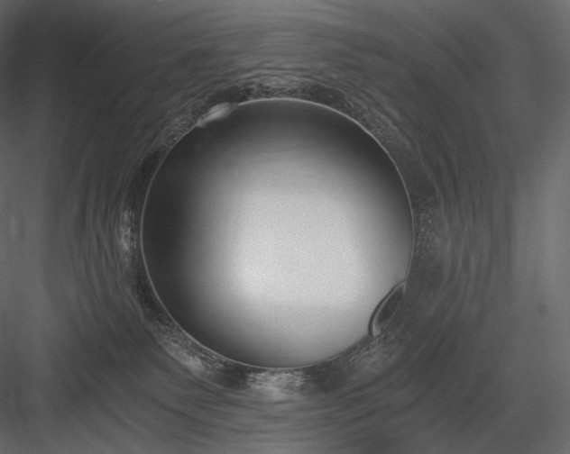 X0000084040135200702232335