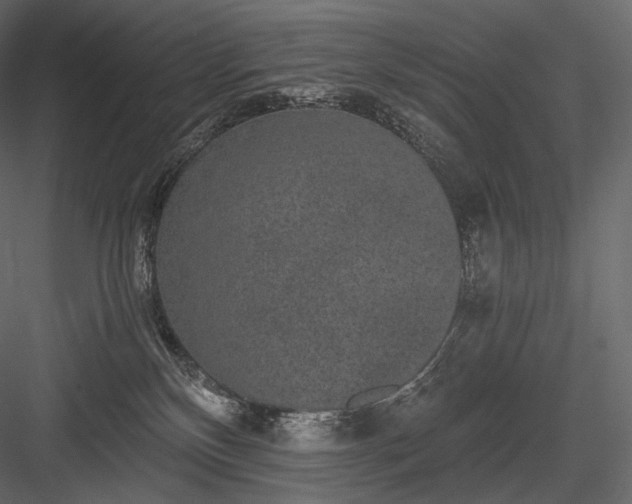 X0000084040136200702232335